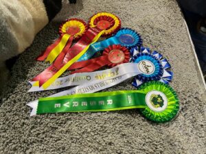 Crufts Winner